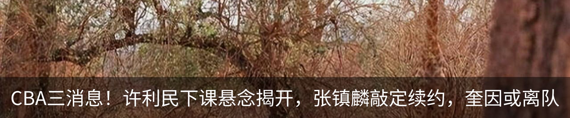 热点资讯